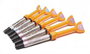 CLEARFIL MAJESTY Posterior B2 4.9g/2.0ml