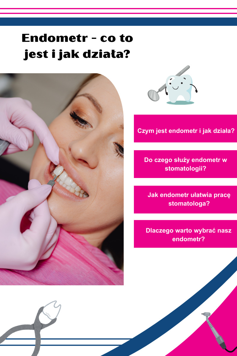 Endometr co to jest?