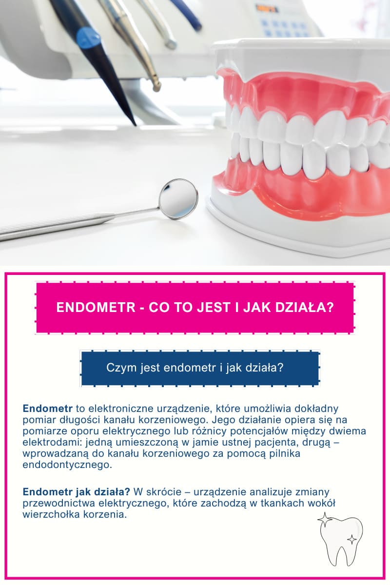 Endometr - co to jest i jak działa?