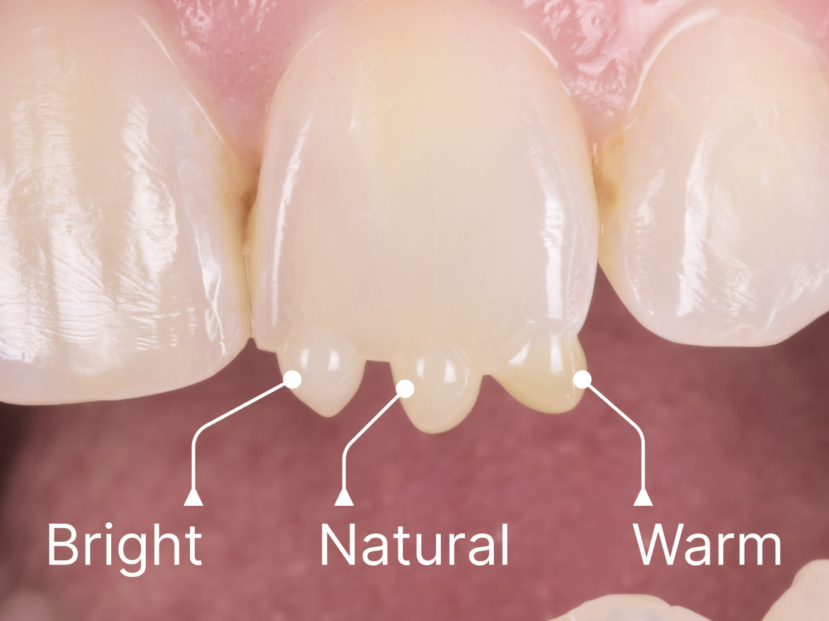 Dr Brian Bailwas Case
