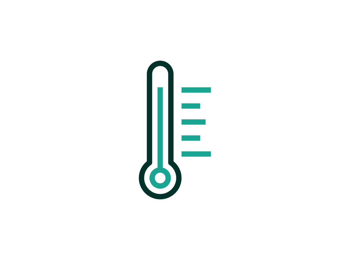 Thermometer Icon